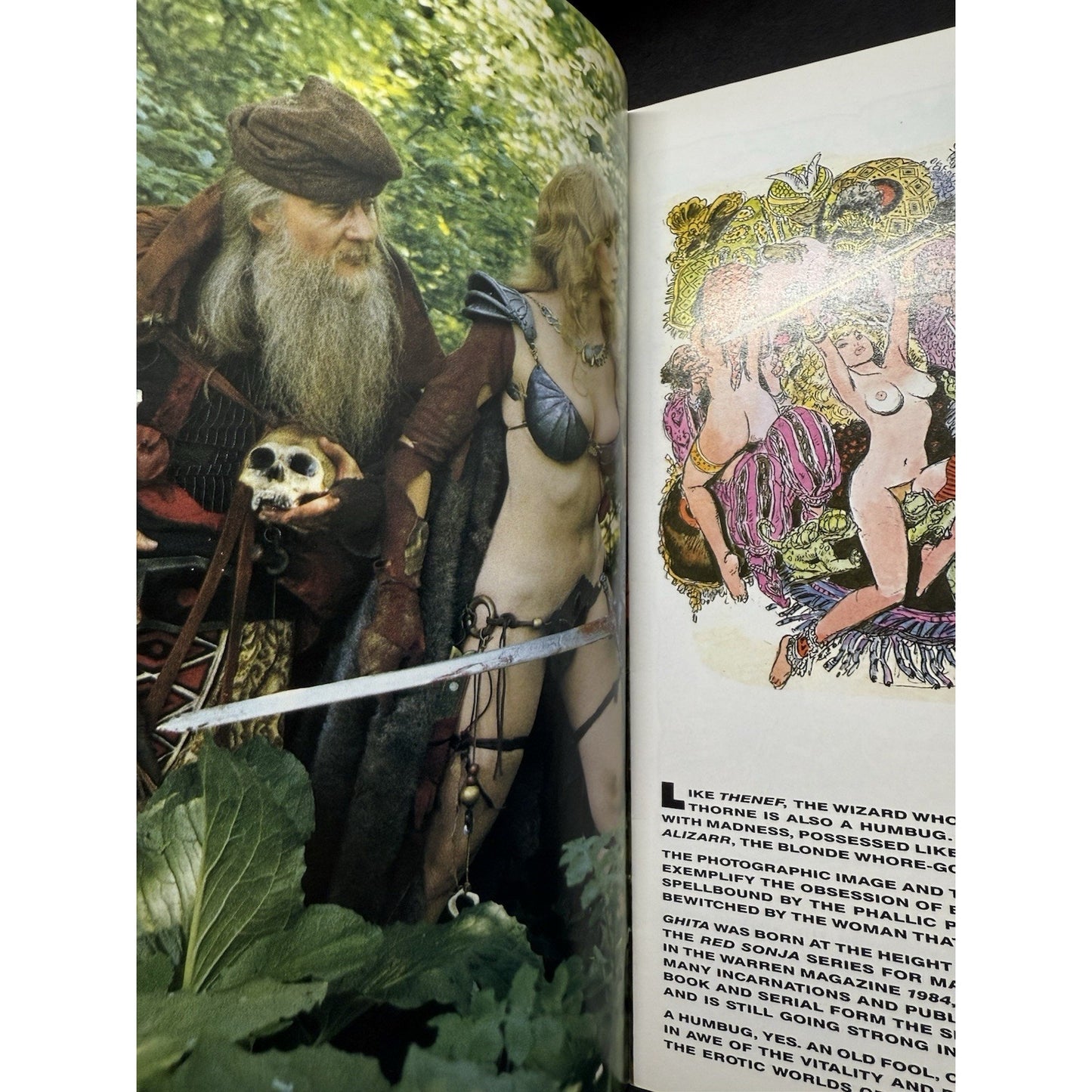 The Erotic Worlds of Frank Thorne #1 (1990, Eros Comix) - First Printing - Adult