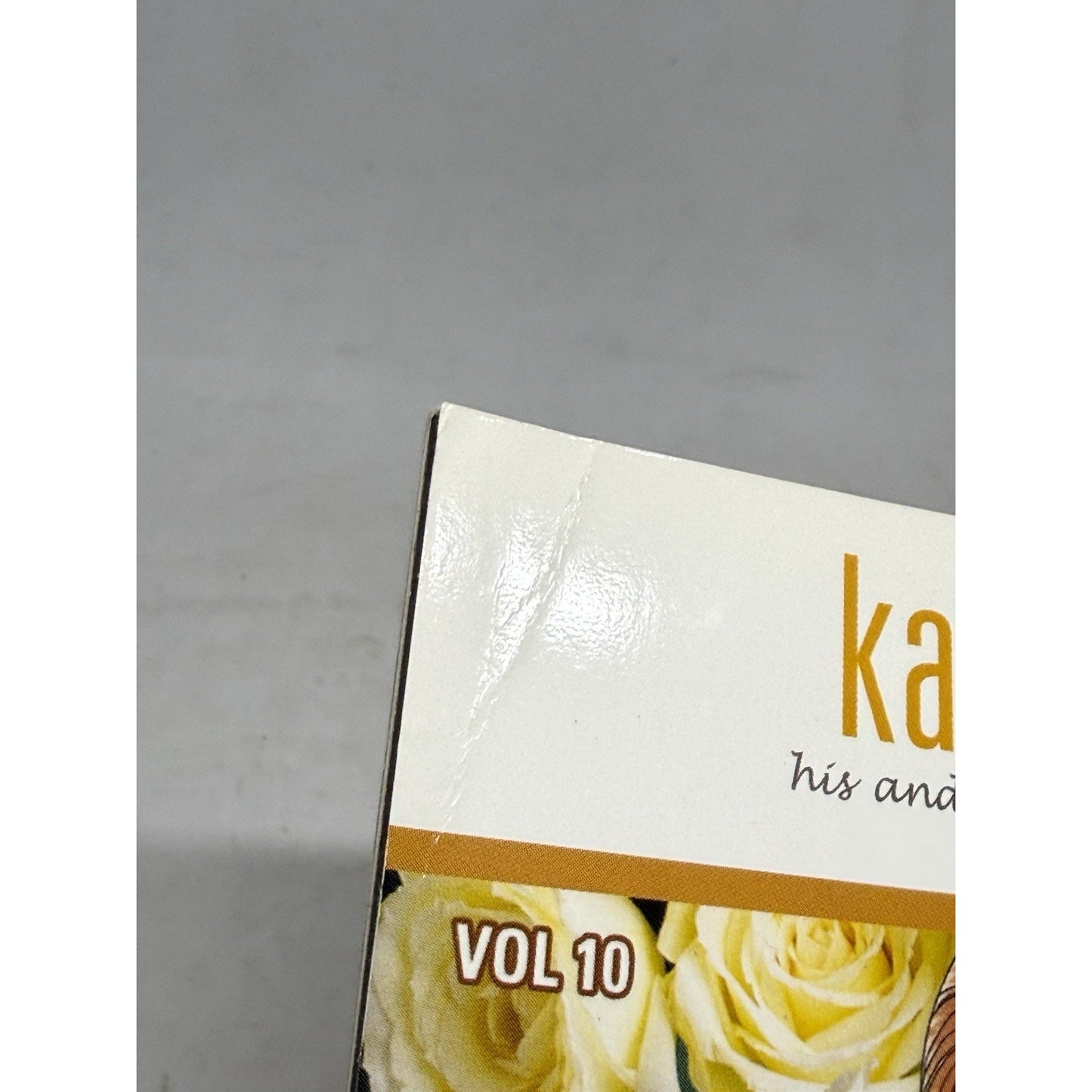 Kare Kano Vol 10 His and Her Circumstances Manga Masami Tsuda TOKYOPOP