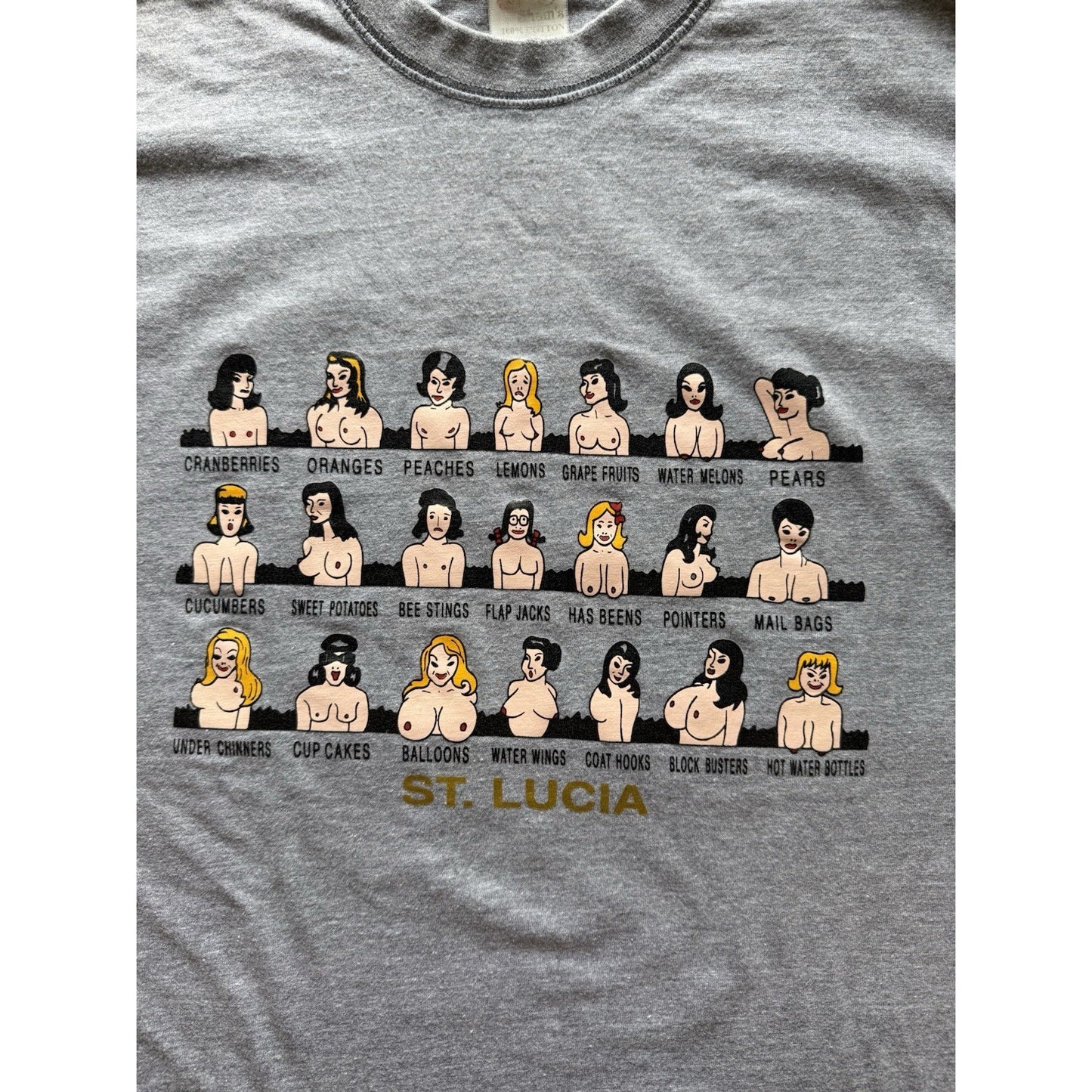 Vintage St Lucia Shirt Graphic Cartoon Boobs Fruit Tee Gray L Adult Humor Sex