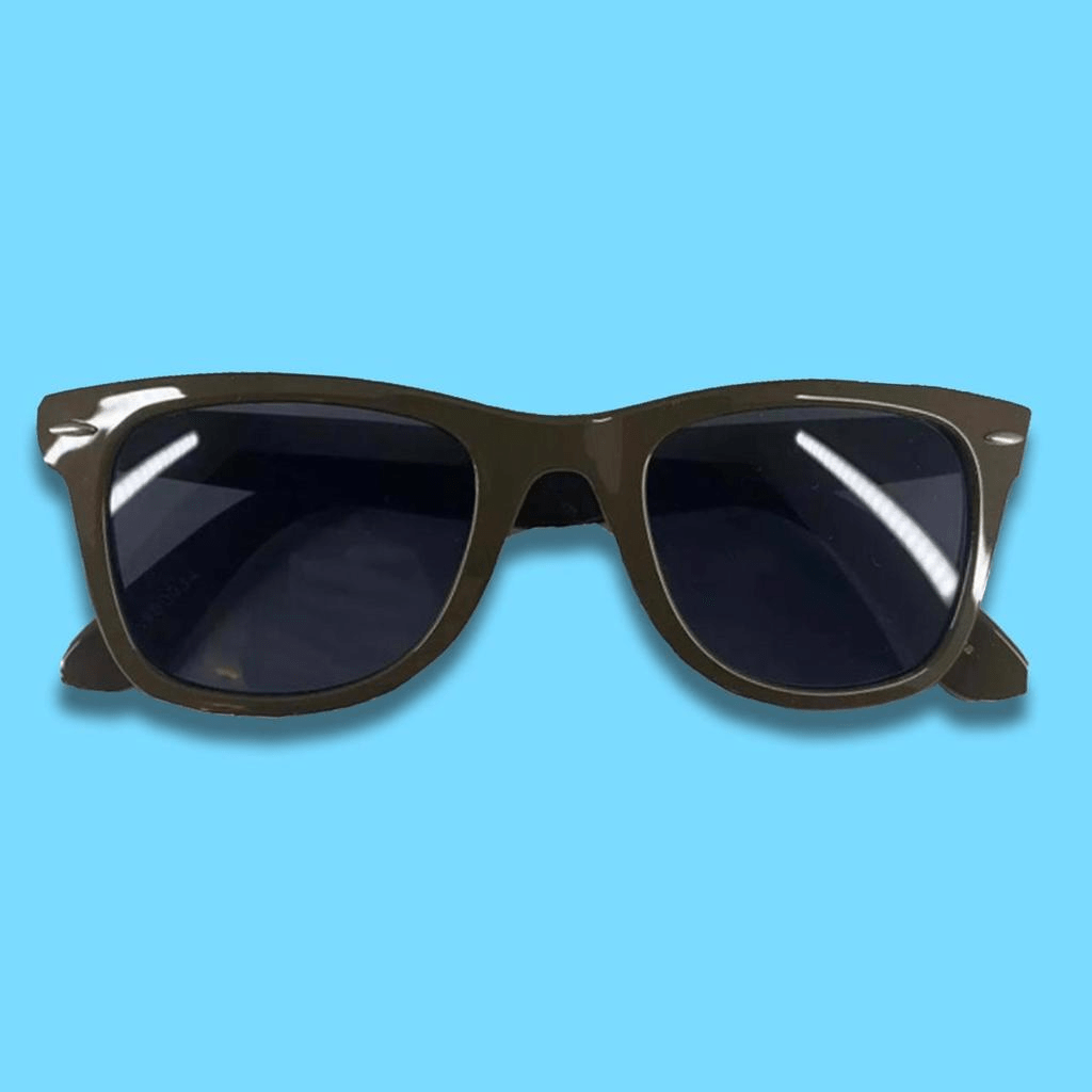Anti Hero Skateboarding Sunglasses One - thriftgoblin