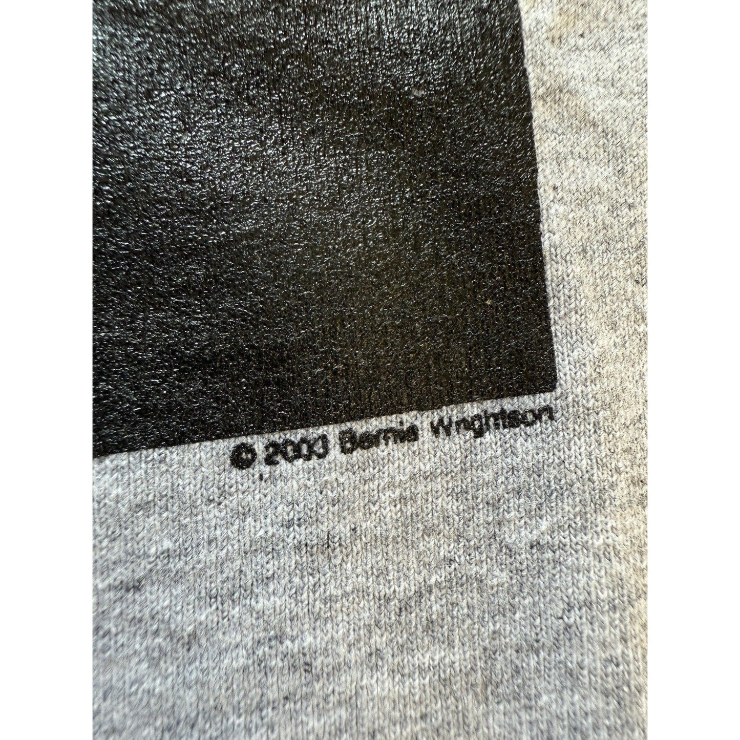 Bernie Wrightson Gardens of the Dead Shirt 2003 XL Gray Horror Comic Art Tee USA - thriftgoblin