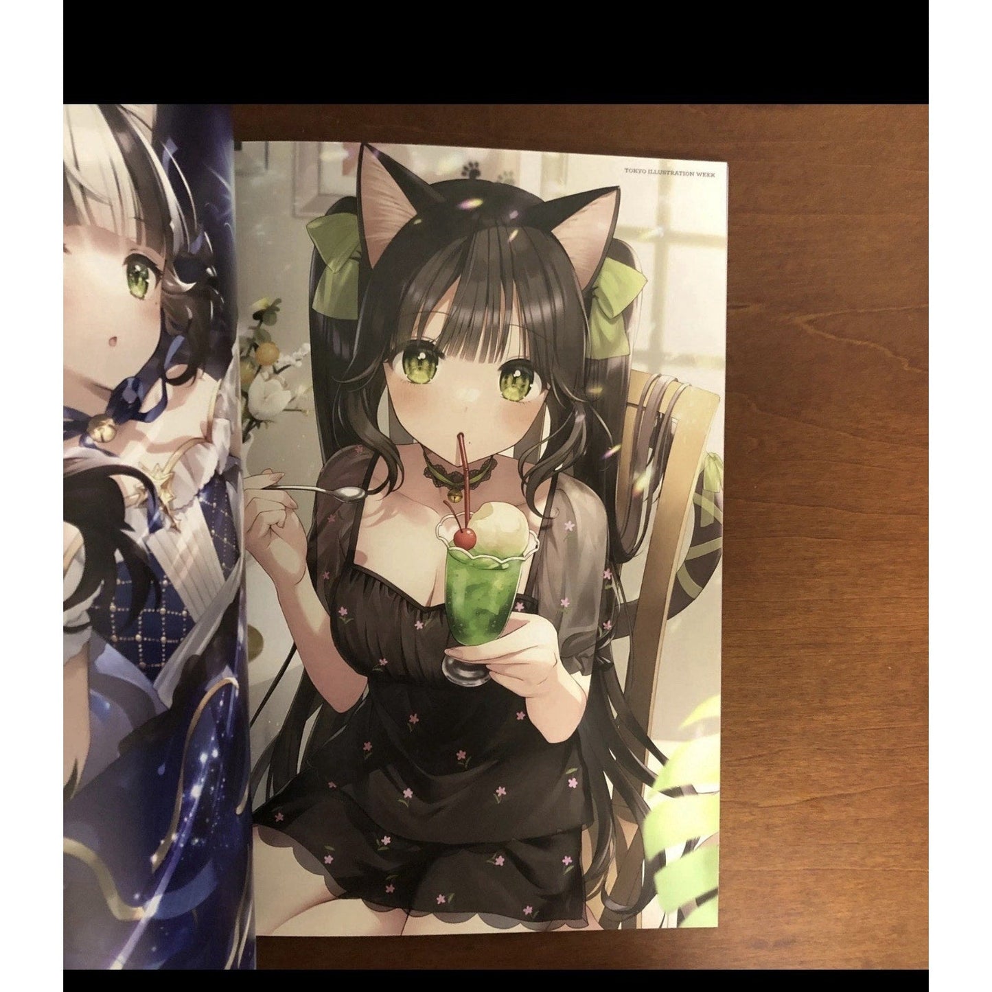 Cat Grooming Art Book by Momokichi Tokyo Illustration Week Japan Neko Waifu - thriftgoblin
