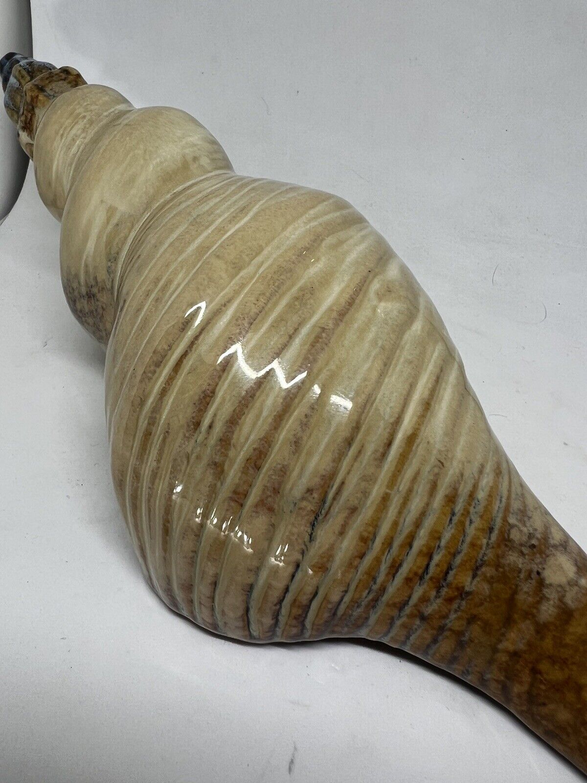 Ceramic Sea Shell Wall Shelf Decor Glazed Bathroom 13 Inches Brown Blue - thriftgoblin