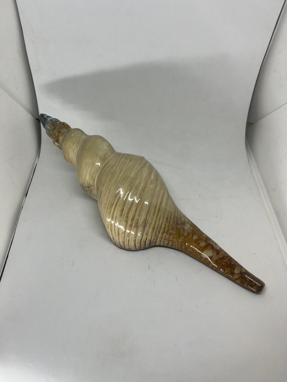 Ceramic Sea Shell Wall Shelf Decor Glazed Bathroom 13 Inches Brown Blue - thriftgoblin