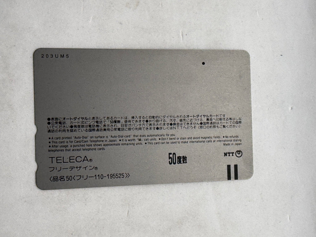 Cross Culture Akiko Takai Swimwear Image Model Unused Japanese Telephone Card (Teleca) - Thrift GoblinTrading Card