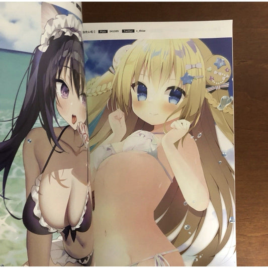 Melonbooks SKY Art Book Comic Market 100 Exclusive Gift 2022 Summer A4 Color - thriftgoblin