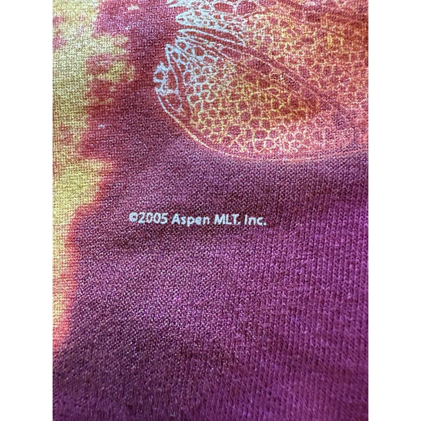 Michael Turner’s Soulfire Comic Promo Shirt 2005 Aspen MLT Maroon XL Fairy Fire - thriftgoblin