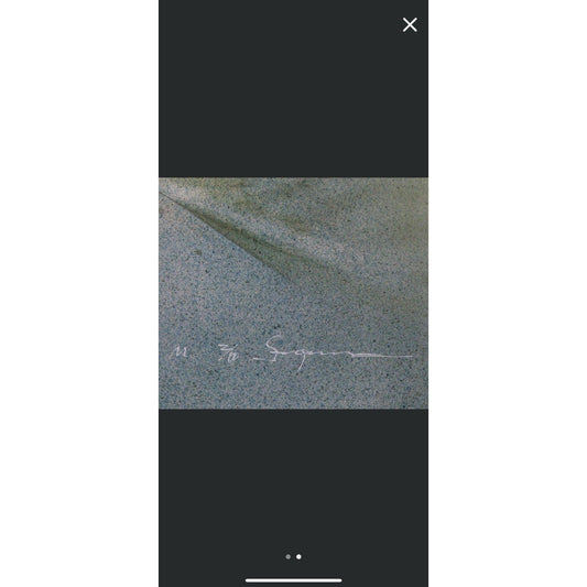 RARE Hajime Sorayama Wounded Mermaid Lithograph Signed, Limited 2/10 NAGA Era 90 - thriftgoblin