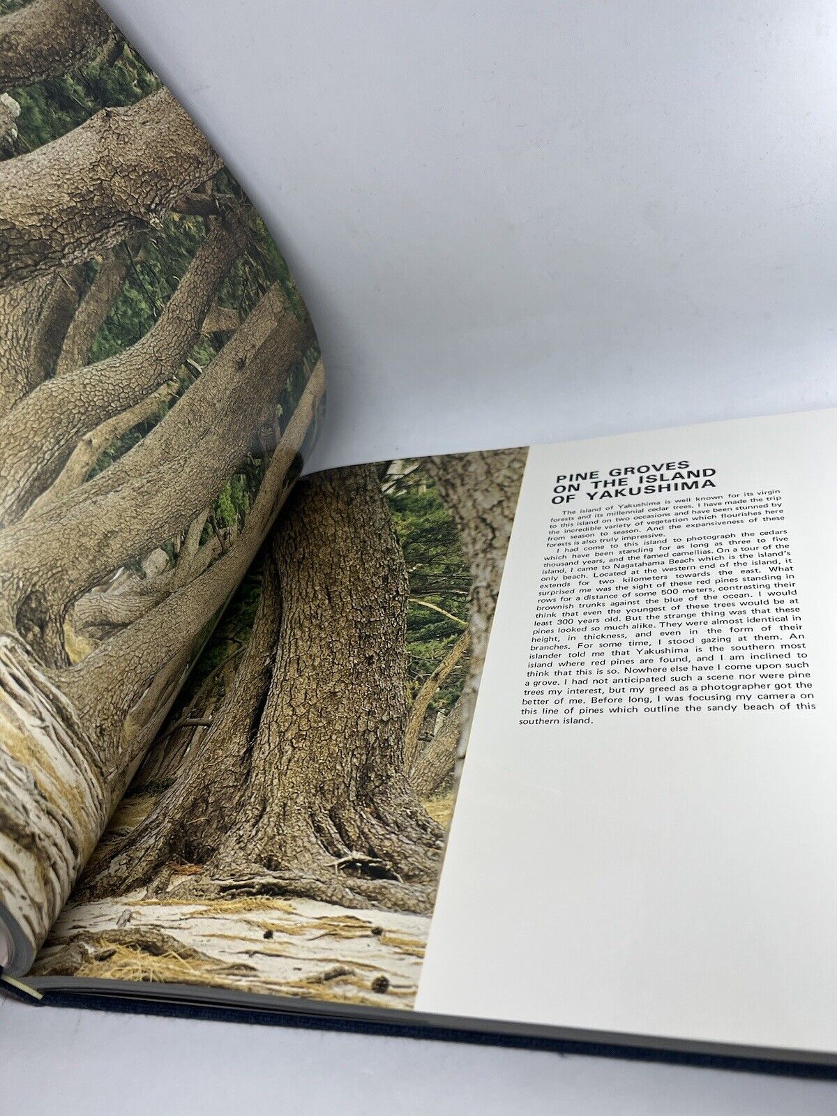 The Beauty of Japan By Ken Domon FIRST EDITION 1978 ITO Ham Provisions Co EX CON - thriftgoblin