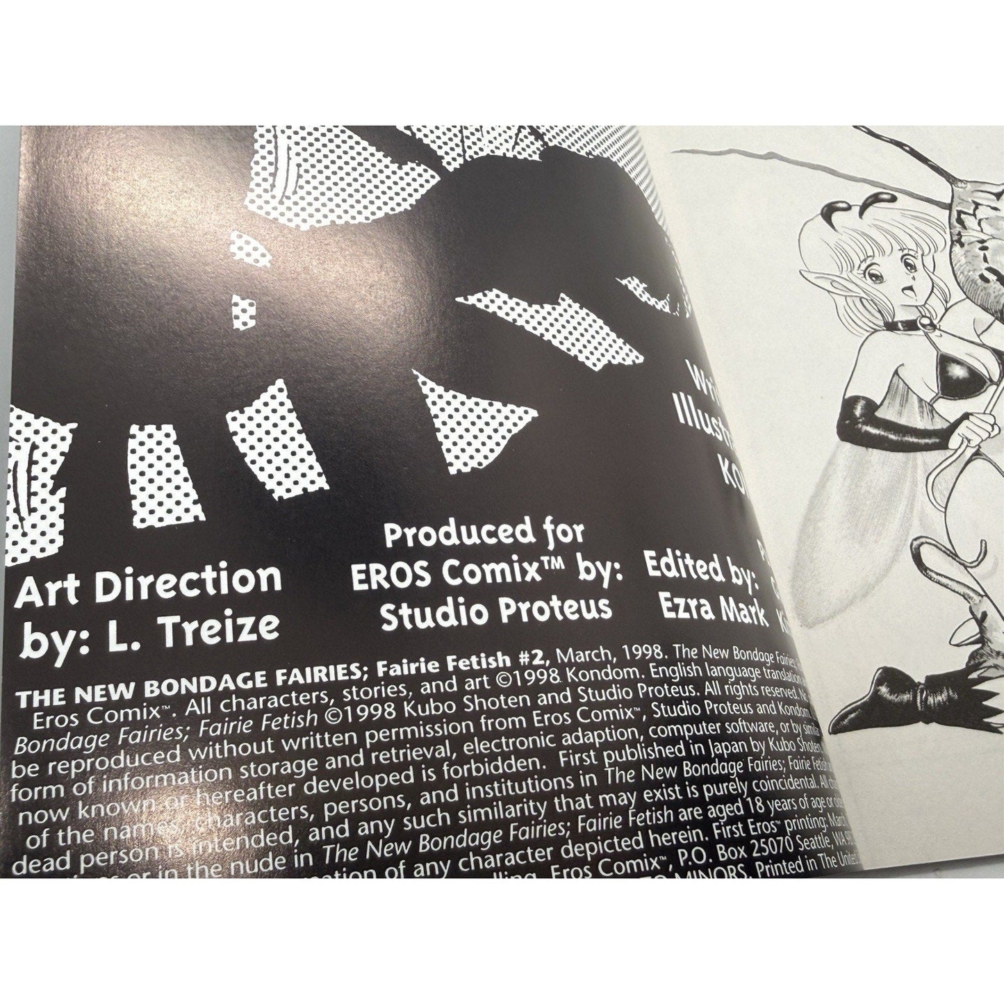 Vintage 1998 Bondage Fairies Comic Book 2 — Rare English Manga Issue - thriftgoblin