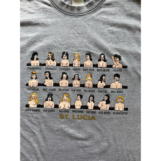 Vintage St Lucia Shirt Graphic Cartoon Boobs Fruit Tee Gray L Adult Humor Sex - thriftgoblin
