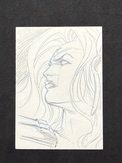 Lady Death Dark Alliance Hand Drawn Sketch Card 1 of 1 With COA Chaos Comics