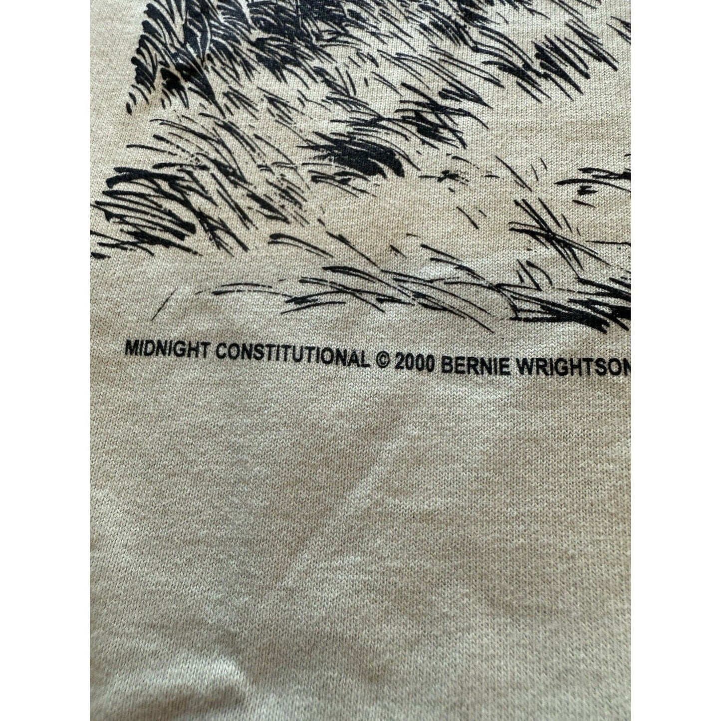 2000 Bernie Wrightson Midnight Constitutional Zombie T-Shirt XL USA Y2K Horror - thriftgoblin