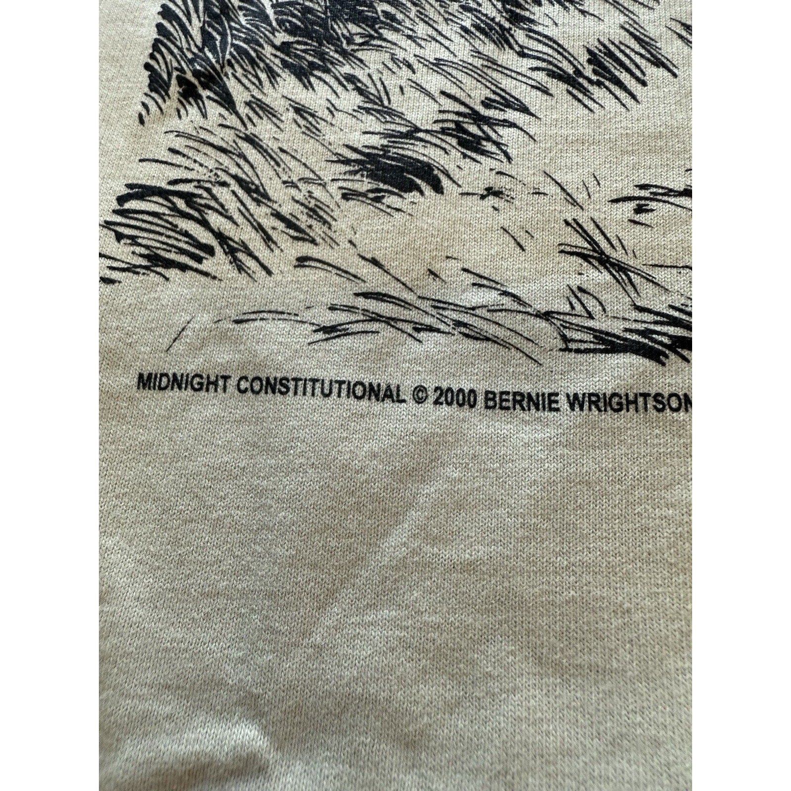 2000 Bernie Wrightson Midnight Constitutional Zombie T-Shirt XL USA Y2K Horror - thriftgoblin