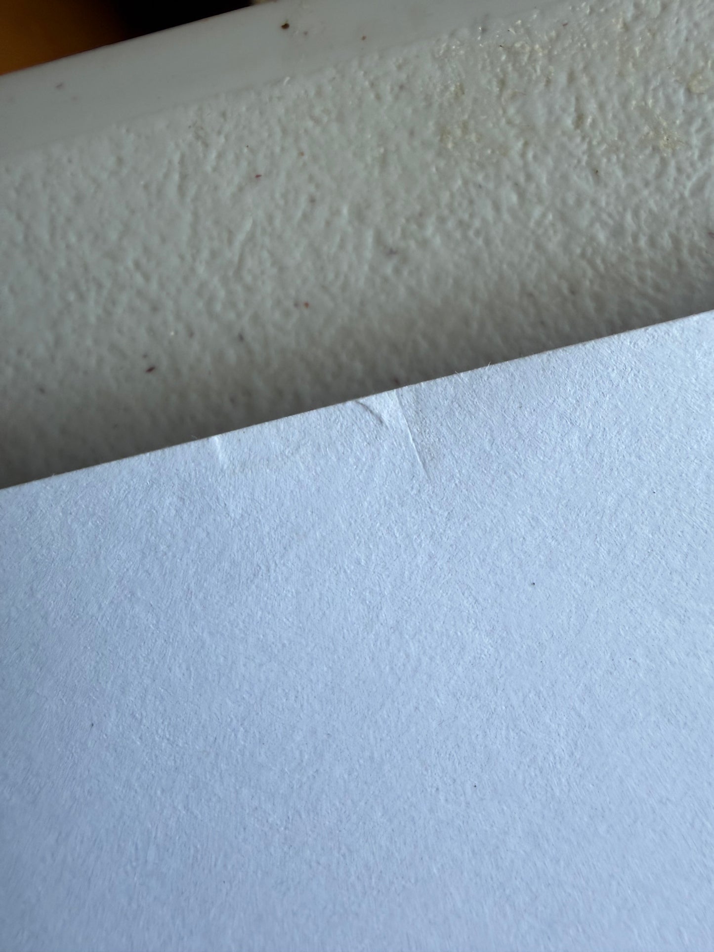 Nychos Rabbit Eye Movement Deepest Depths Burrow Signed Print 256/300 18x24