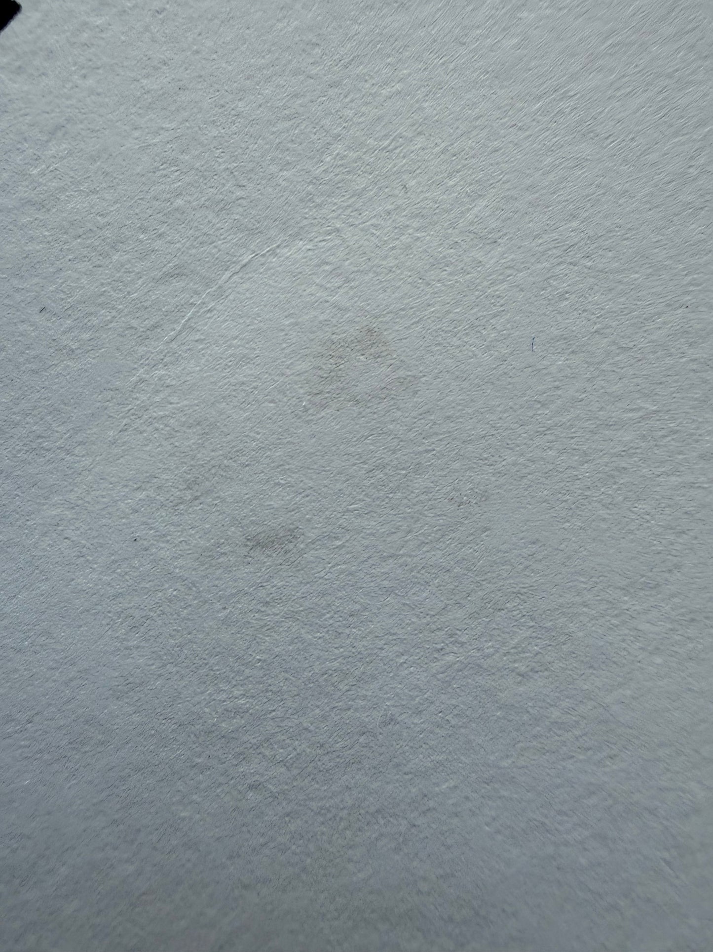 Nychos Rabbit Eye Movement Deepest Depths Burrow Signed Print 256/300 18x24