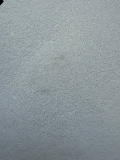 Nychos Rabbit Eye Movement Deepest Depths Burrow Signed Print 256/300 18x24