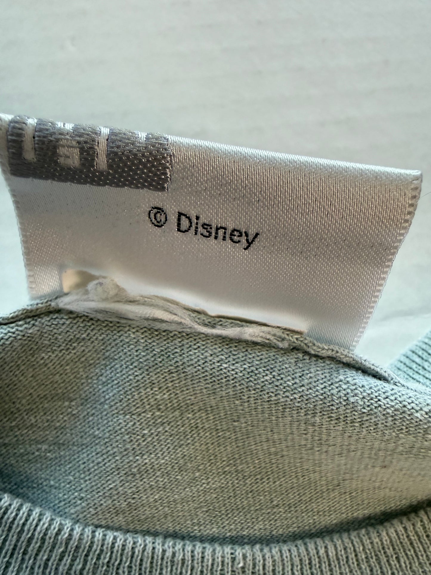 Walt Disney World Mickey Mouse Pathway to Enlightenment Tee Sage Green M