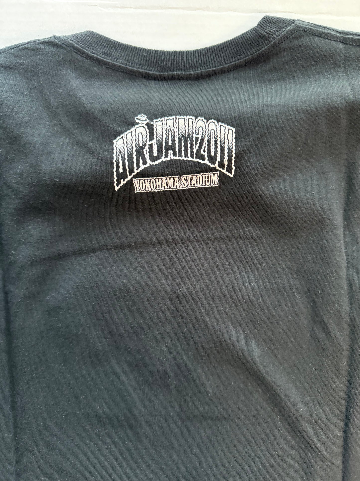 Air Jam 2011 Yokohama Stadium Official Tee Rockin Jelly Bean Hi-Standard M