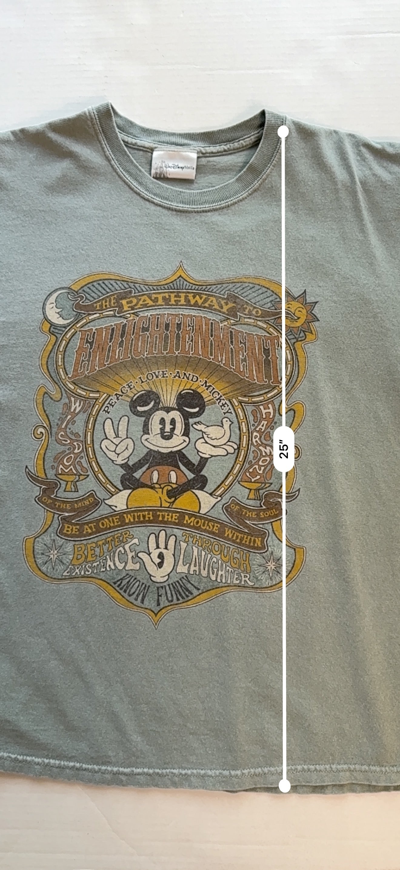 Walt Disney World Mickey Mouse Pathway to Enlightenment Tee Sage Green M