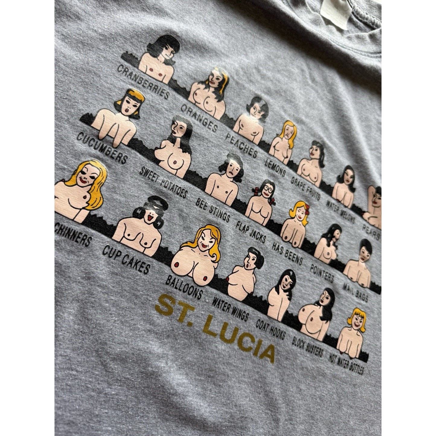 Vintage St Lucia Shirt Graphic Cartoon Boobs Fruit Tee Gray L Adult Humor Sex