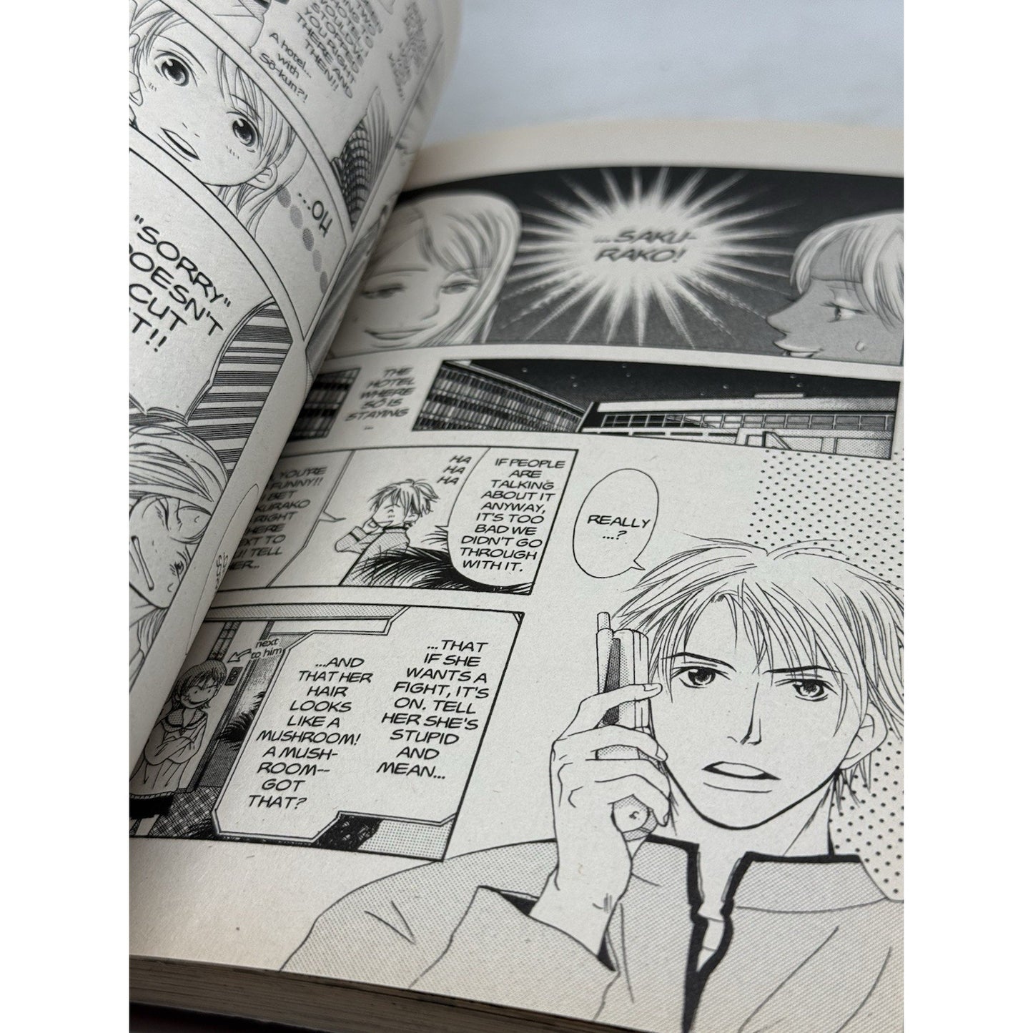 Doubt!! Vol 5 Manga Kaneyoshi Izumi VIZ Shojo Graphic Novel 2007