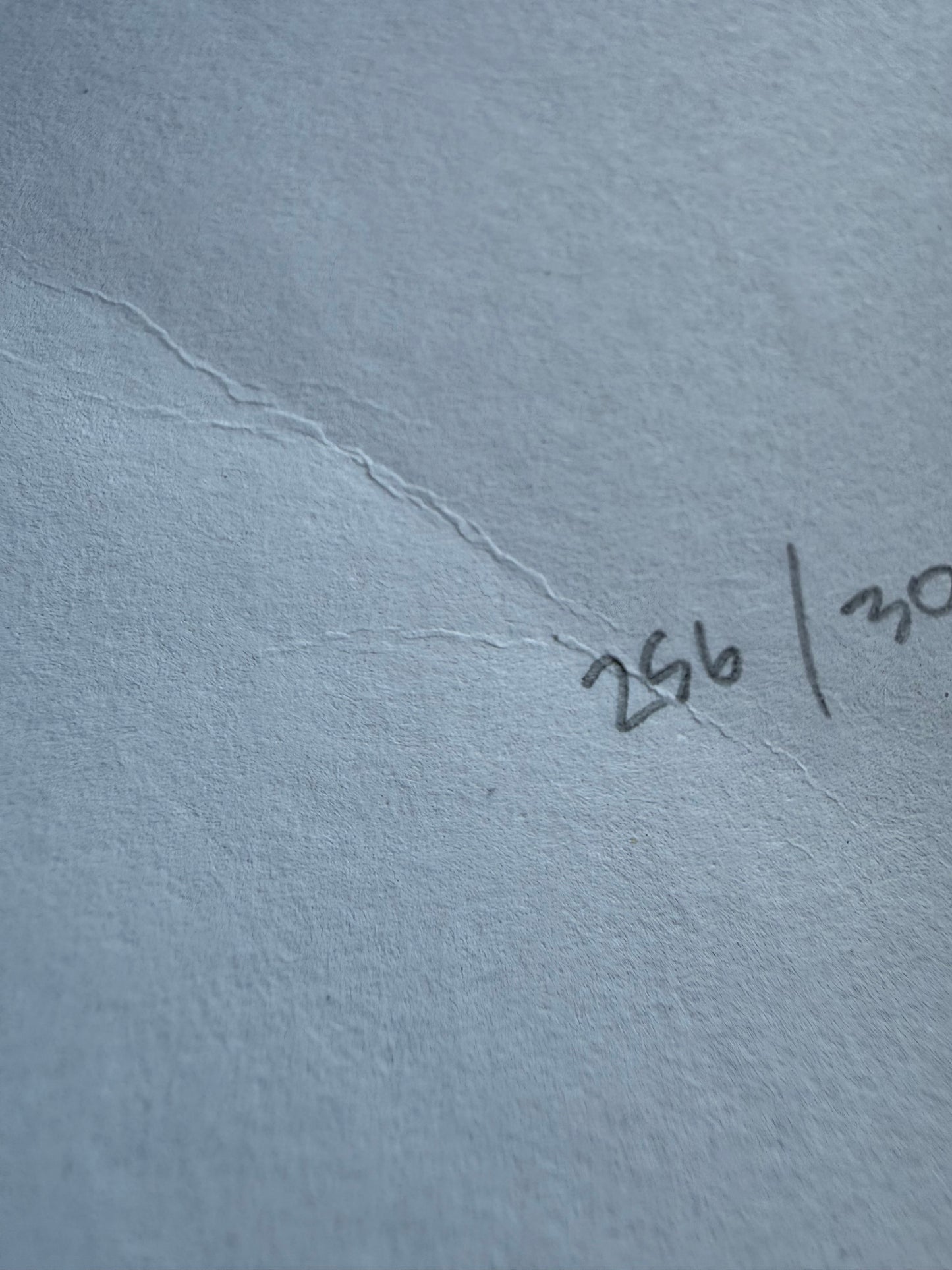 Nychos Rabbit Eye Movement Deepest Depths Burrow Signed Print 256/300 18x24