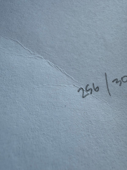 Nychos Rabbit Eye Movement Deepest Depths Burrow Signed Print 256/300 18x24