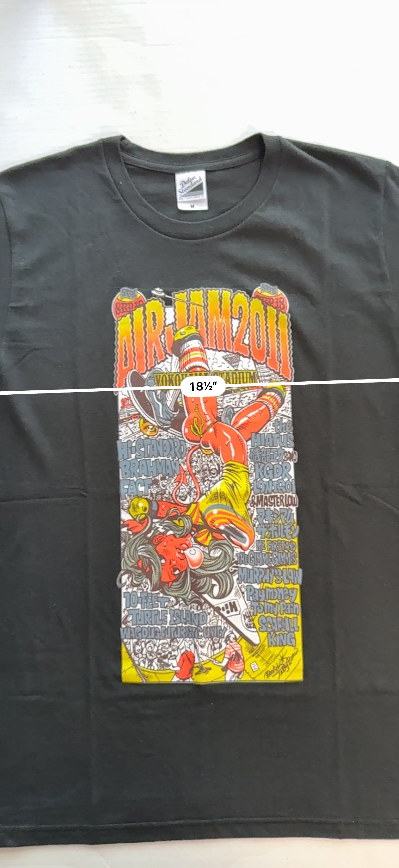 Air Jam 2011 Yokohama Stadium Official Tee Rockin Jelly Bean Hi-Standard M