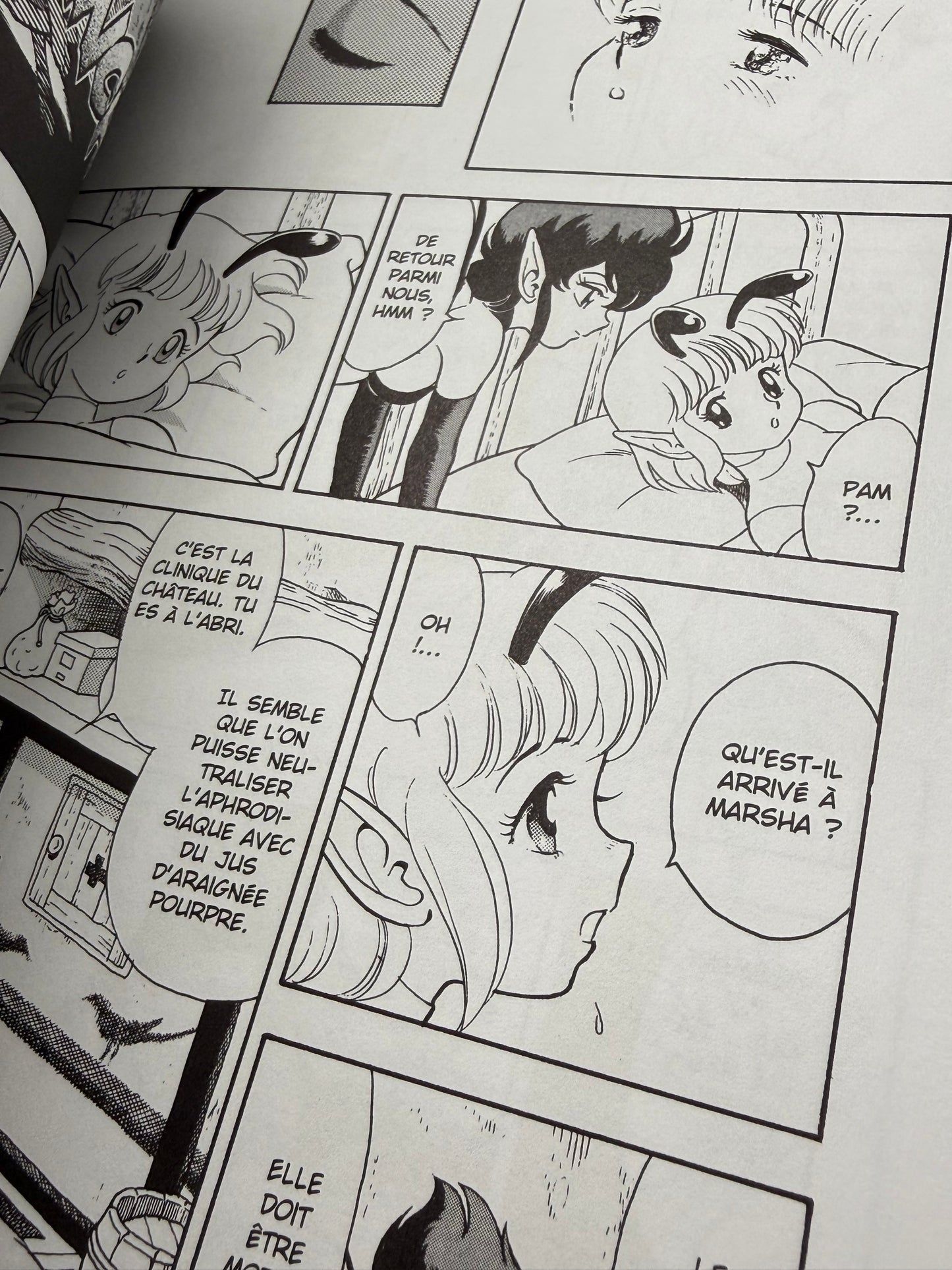 Bondage Fairies 2 Kondom French Edition BD Erogene 2002 Adult Manga Hentai Comic