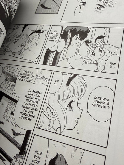 Bondage Fairies 2 Kondom French Edition BD Erogene 2002 Adult Manga Hentai Comic