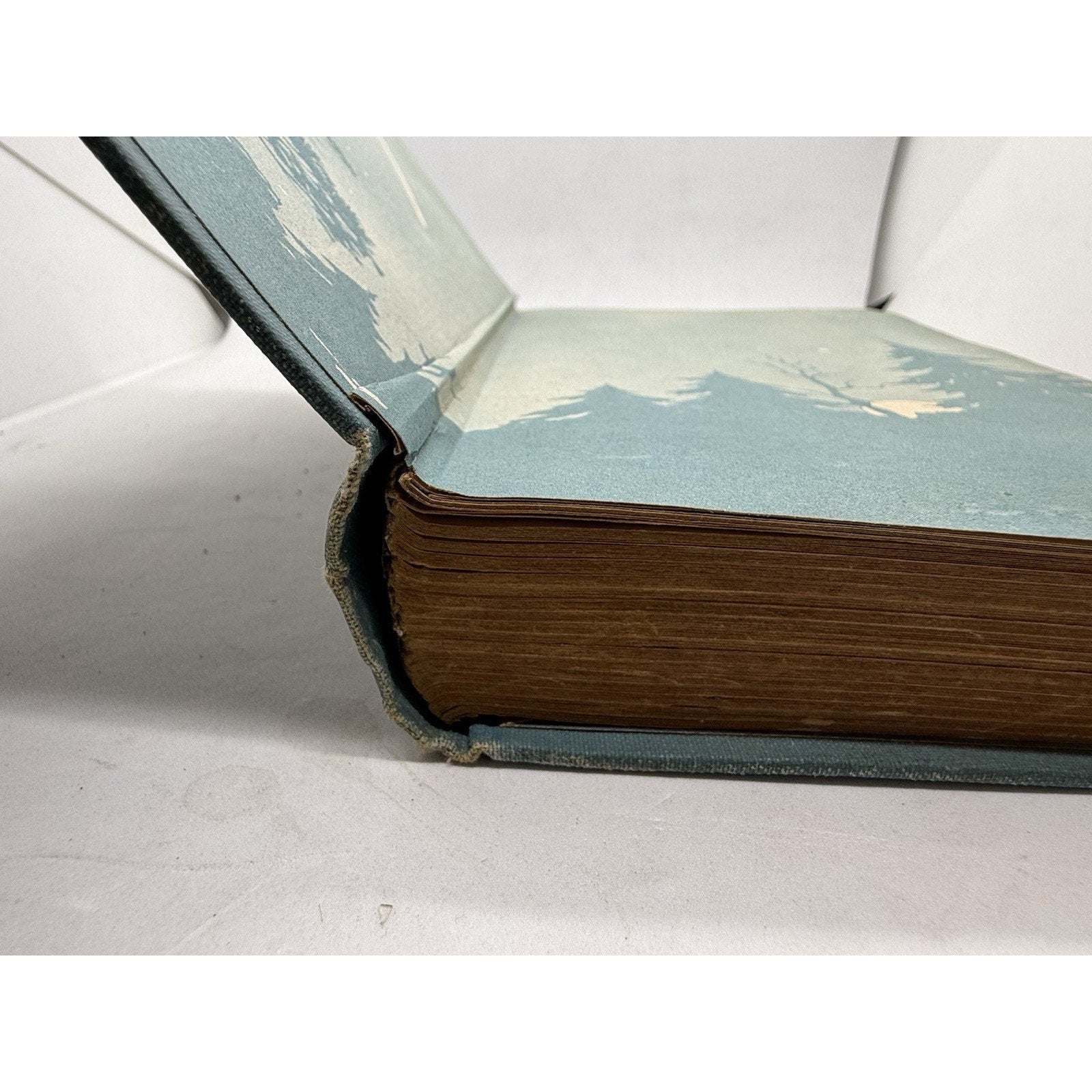 Astronomy and the Bible by Lucas A. Reid 1st Edition Hardcover 1919 - thriftgoblin