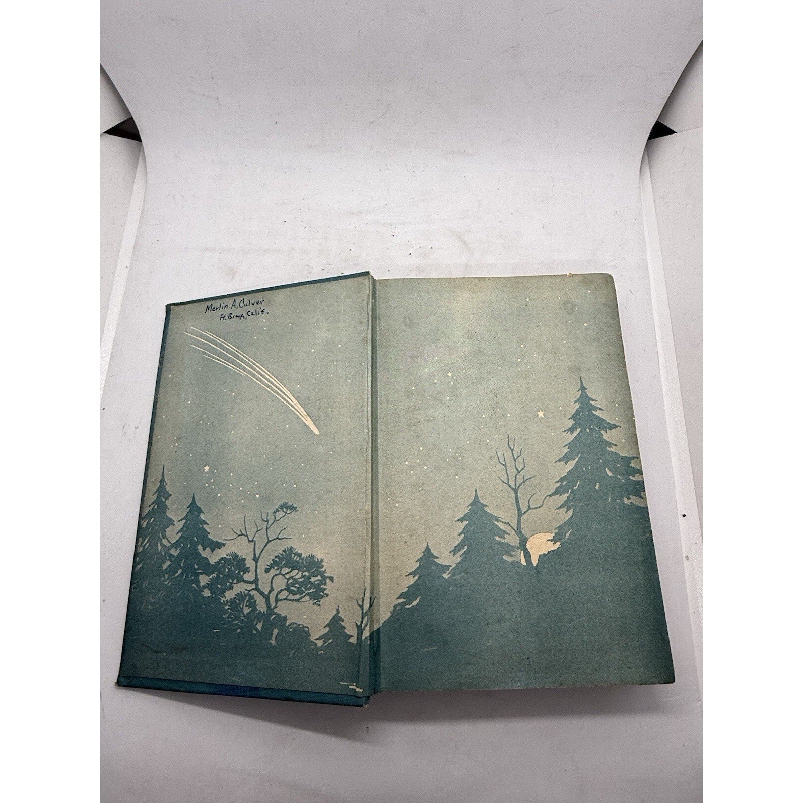 Astronomy and the Bible by Lucas A. Reid 1st Edition Hardcover 1919 - thriftgoblin