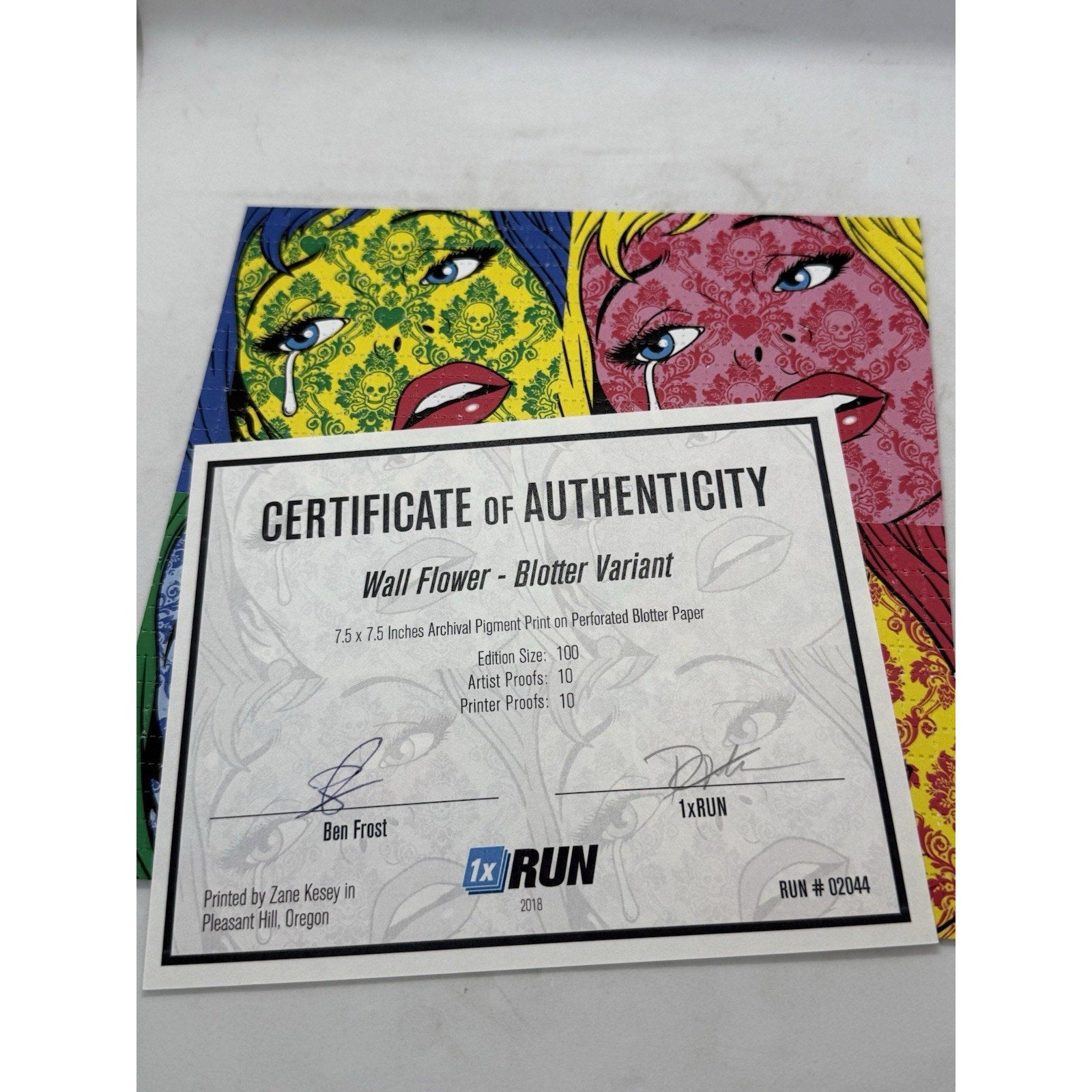 Ben Frost Wall Flower Blotter Variant 2018 1xRUN Signed 6/100 COA Pop Art Print - thriftgoblin