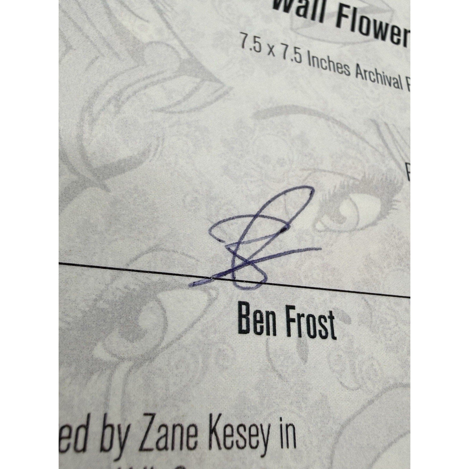 Ben Frost Wall Flower Blotter Variant 2018 1xRUN Signed 6/100 COA Pop Art Print - thriftgoblin