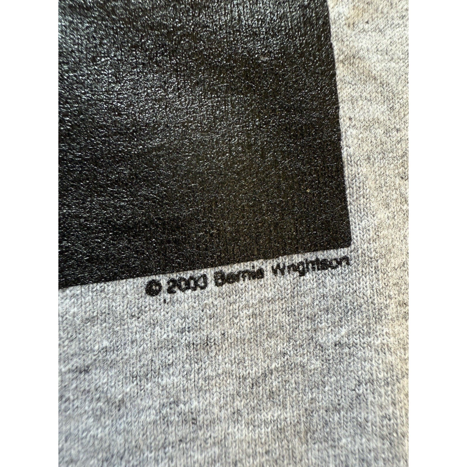 Bernie Wrightson Gardens of the Dead Shirt 2003 XL Gray Horror Comic Art Tee USA - thriftgoblin