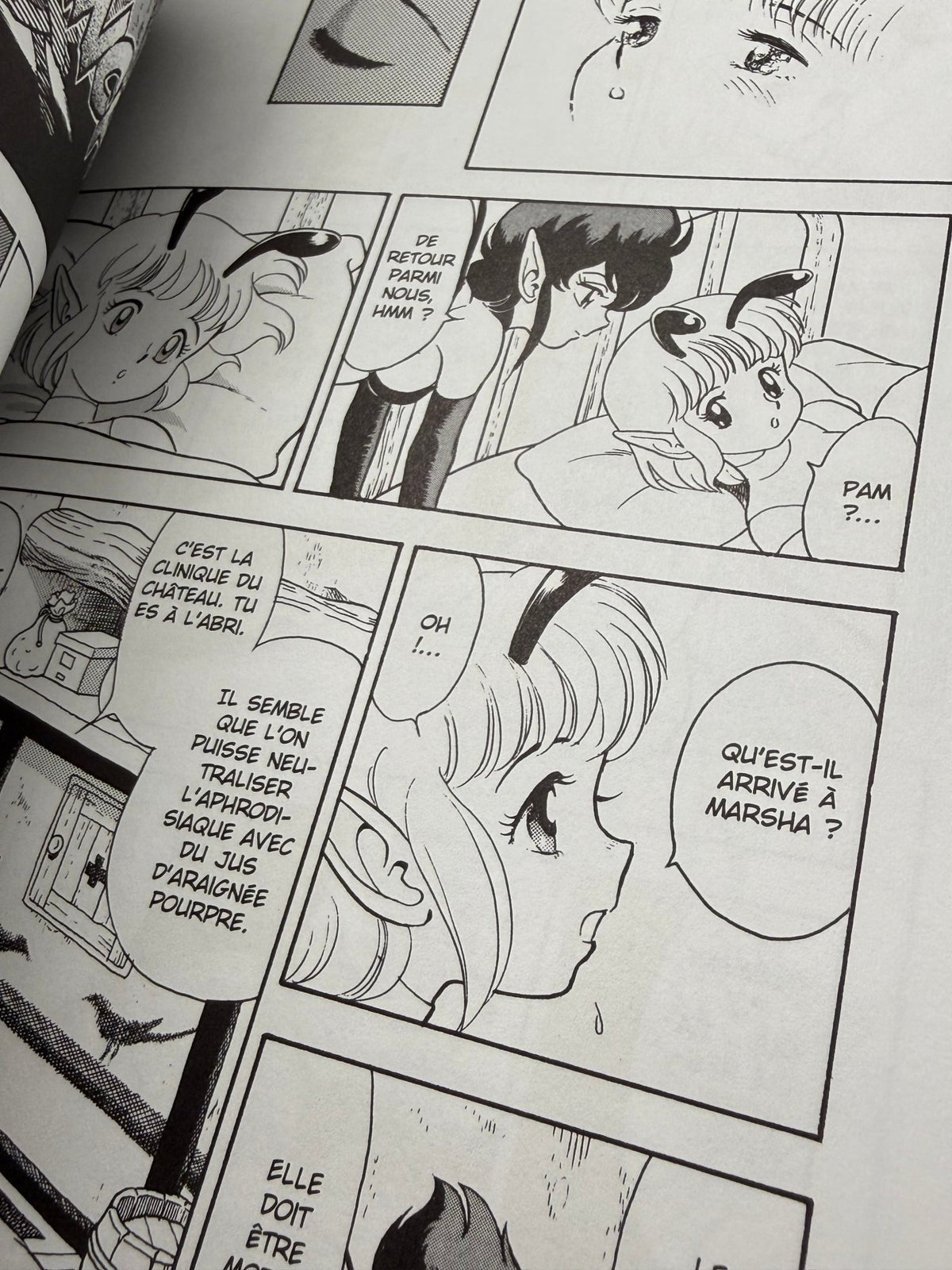 Bondage Fairies 2 Kondom French Edition BD Erogene 2002 Adult Manga Hentai Comic - Thrift GoblinComic Book