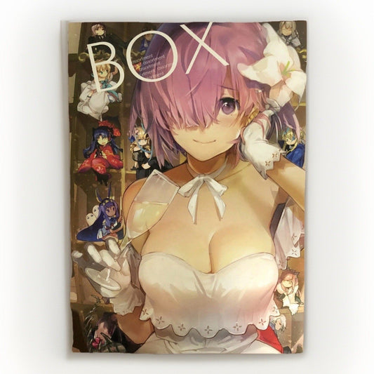 BOX Art Book by Niji Seicho Anime Illustration Collection - Masayo Silver Candy - thriftgoblin