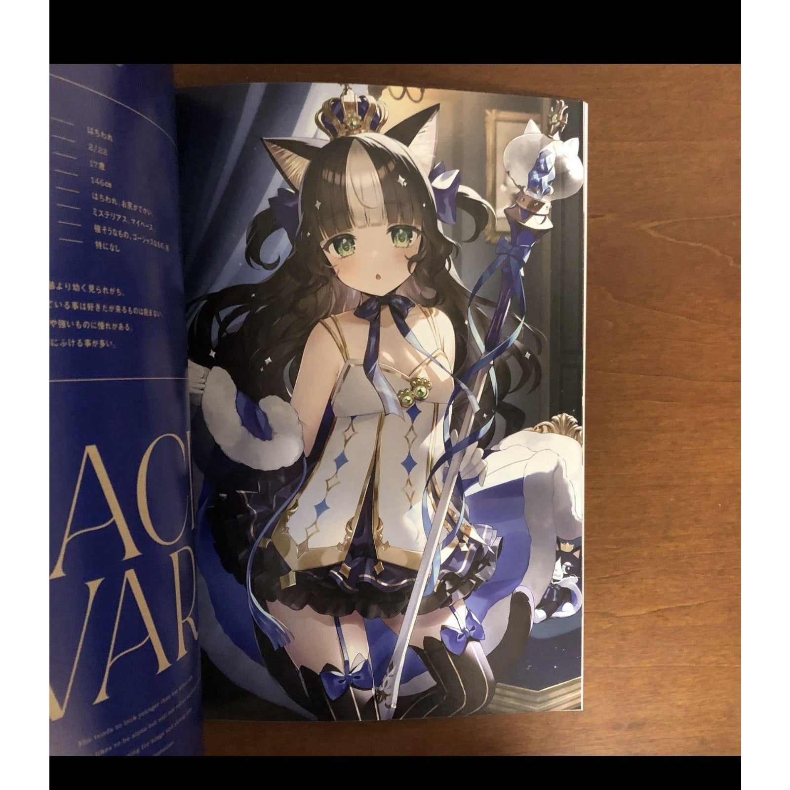 Cat Grooming Art Book by Momokichi Tokyo Illustration Week Japan Neko Waifu - thriftgoblin