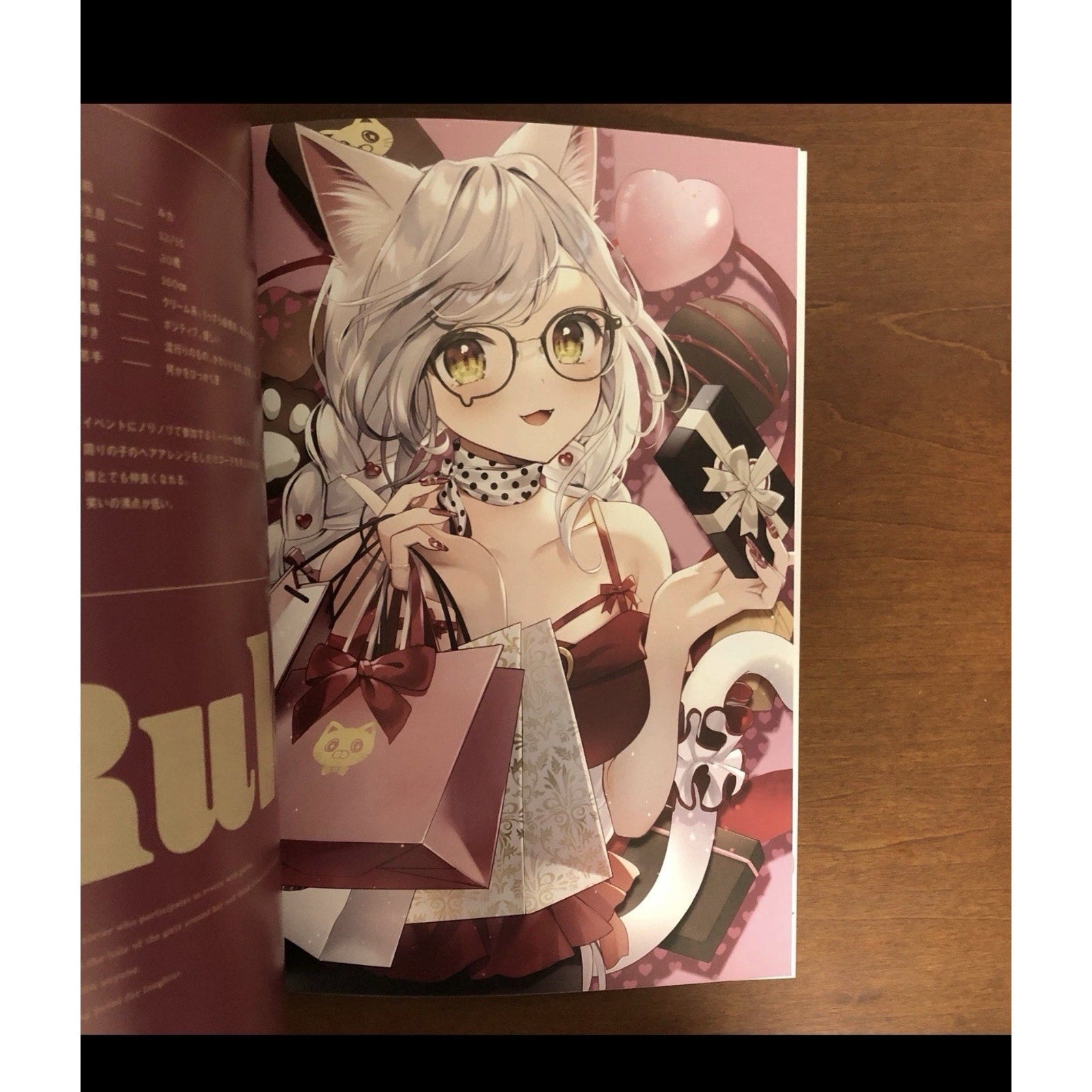Cat Grooming Art Book by Momokichi Tokyo Illustration Week Japan Neko Waifu - thriftgoblin