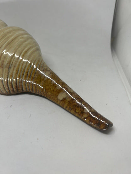Ceramic Sea Shell Wall Shelf Decor Glazed Bathroom 13 Inches Brown Blue - thriftgoblin