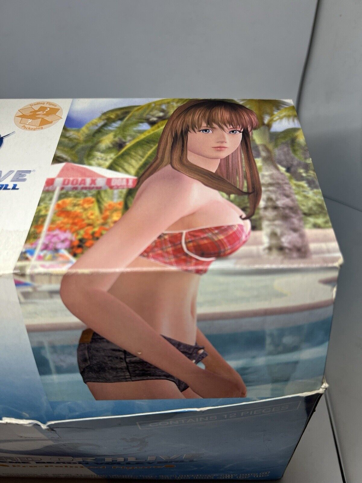 COMPLETE 12 Kotobukiya Dead or Alive Xtreme Beach Volleyball Figures Secret RARE - thriftgoblin