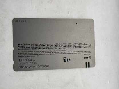Cross Culture Akiko Takai Swimwear Image Model Unused Japanese Telephone Card (Teleca) - Thrift GoblinTrading Card