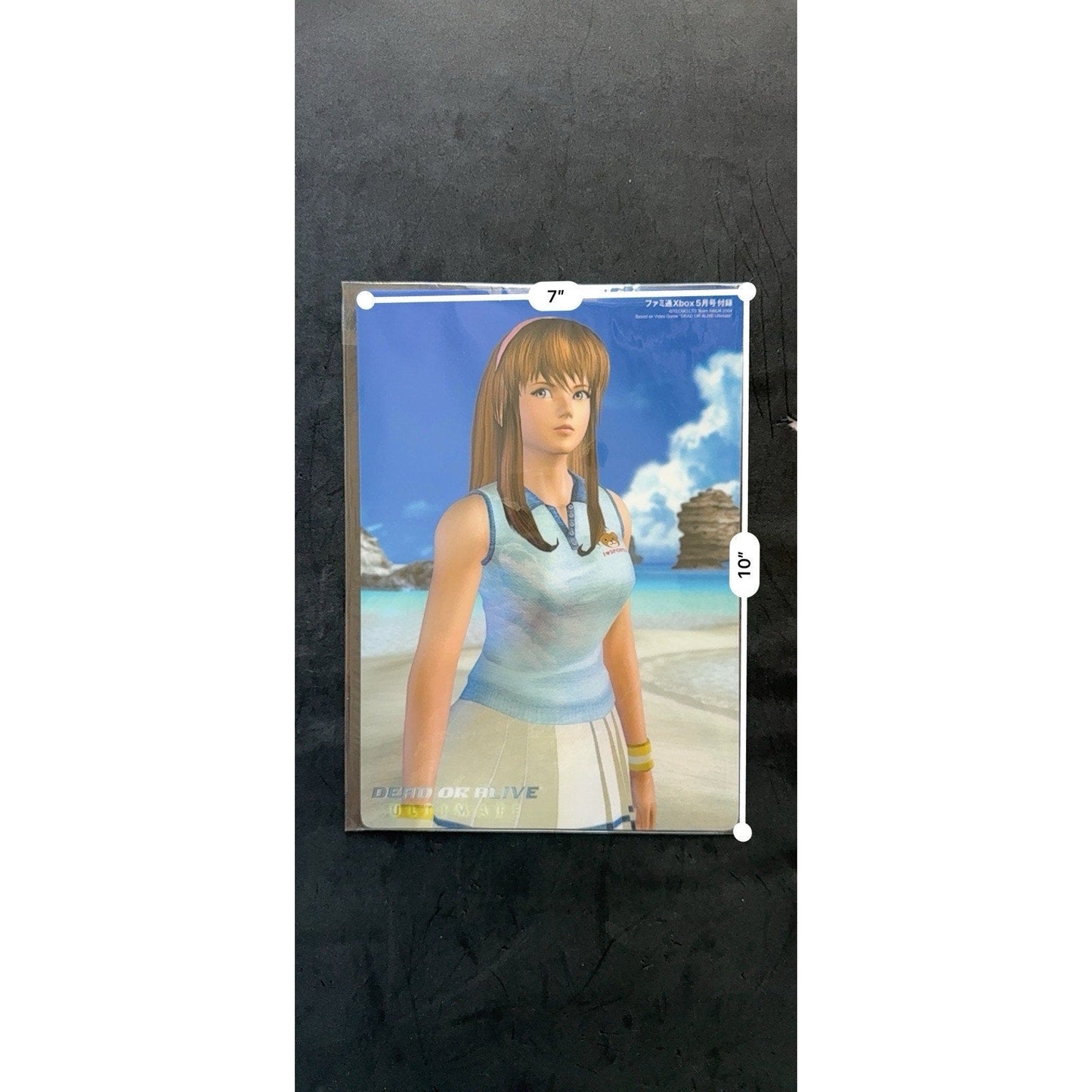 Dead or Alive Ultimate Kasumi B5 Desk Mat Famitsu Xbox Supplement Tecmo 2004 - thriftgoblin