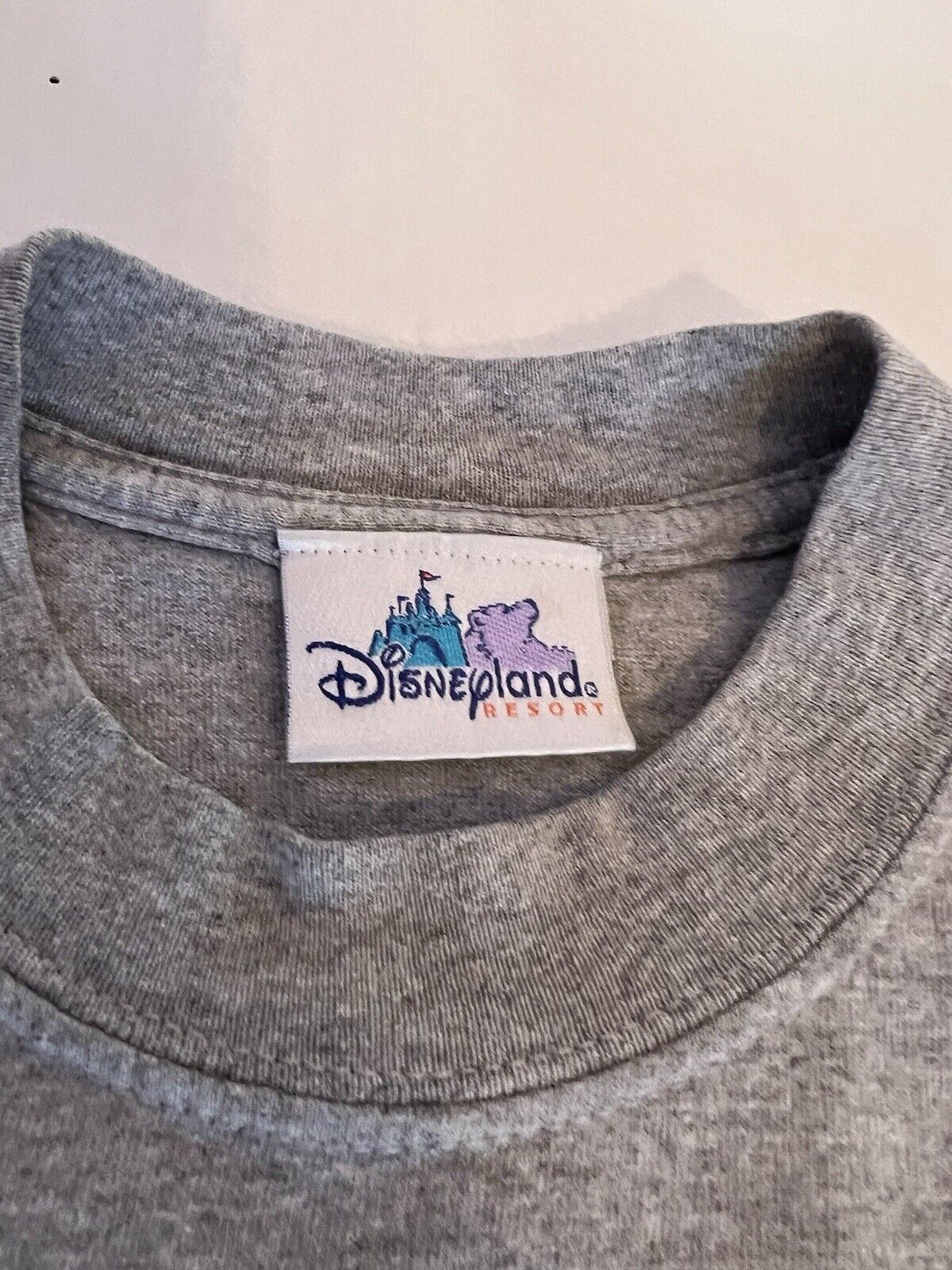 Disney California Adventure Y2K Goofy Kids Tshirt Crewneck Medium Gray - thriftgoblin