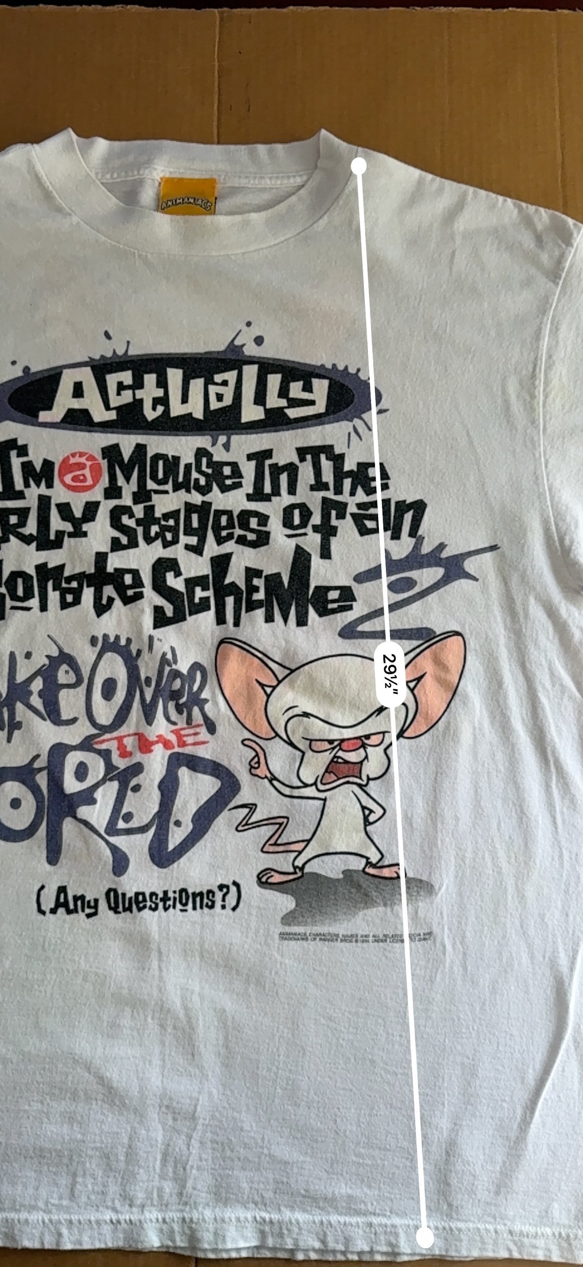 Vintage 1994 Animaniacs Brain Take Over the World Double Sided Tee White