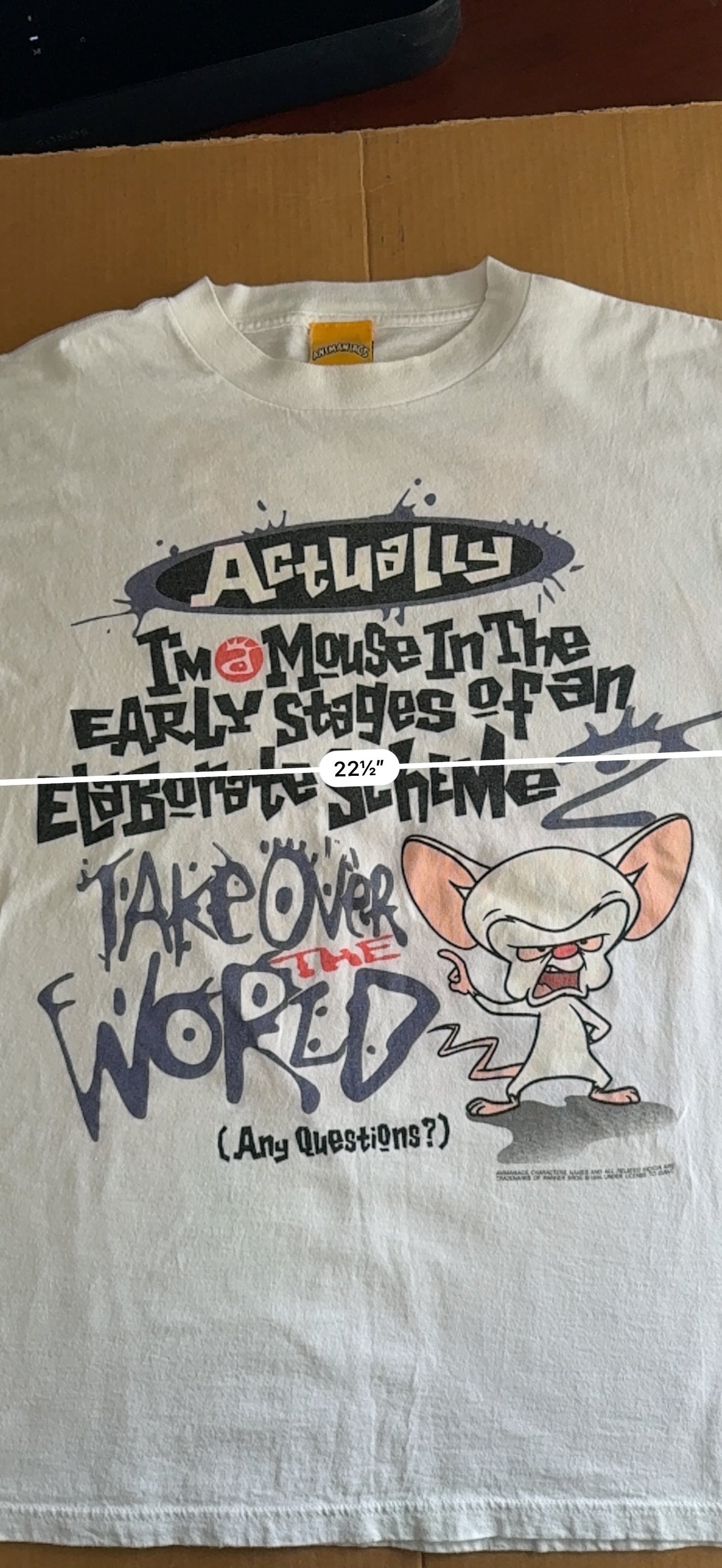 Vintage 1994 Animaniacs Brain Take Over the World Double Sided Tee White