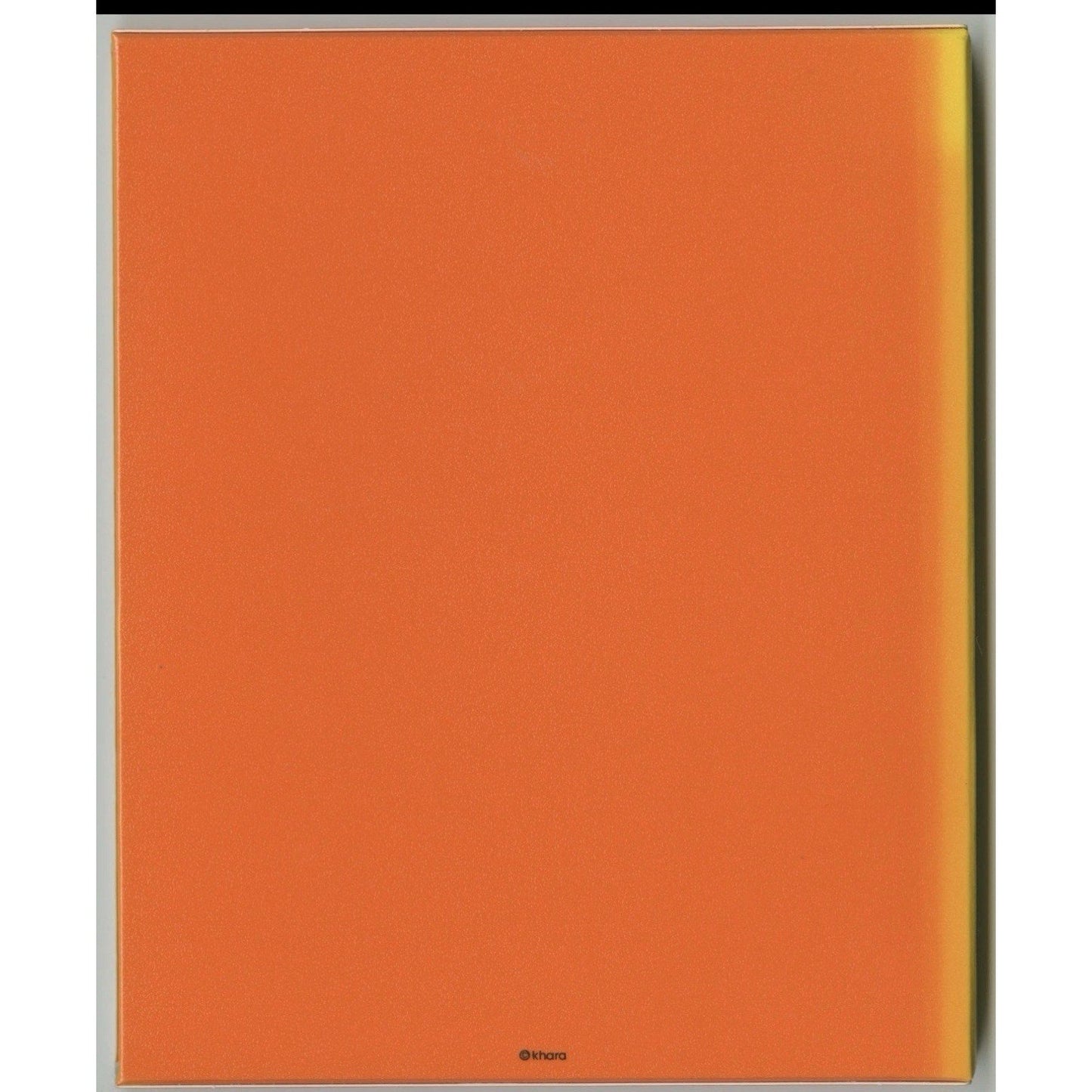 Evangelion 2.22 You Can (Not) Advance Blu ray Collector Edition Japan Khara NGE - thriftgoblin