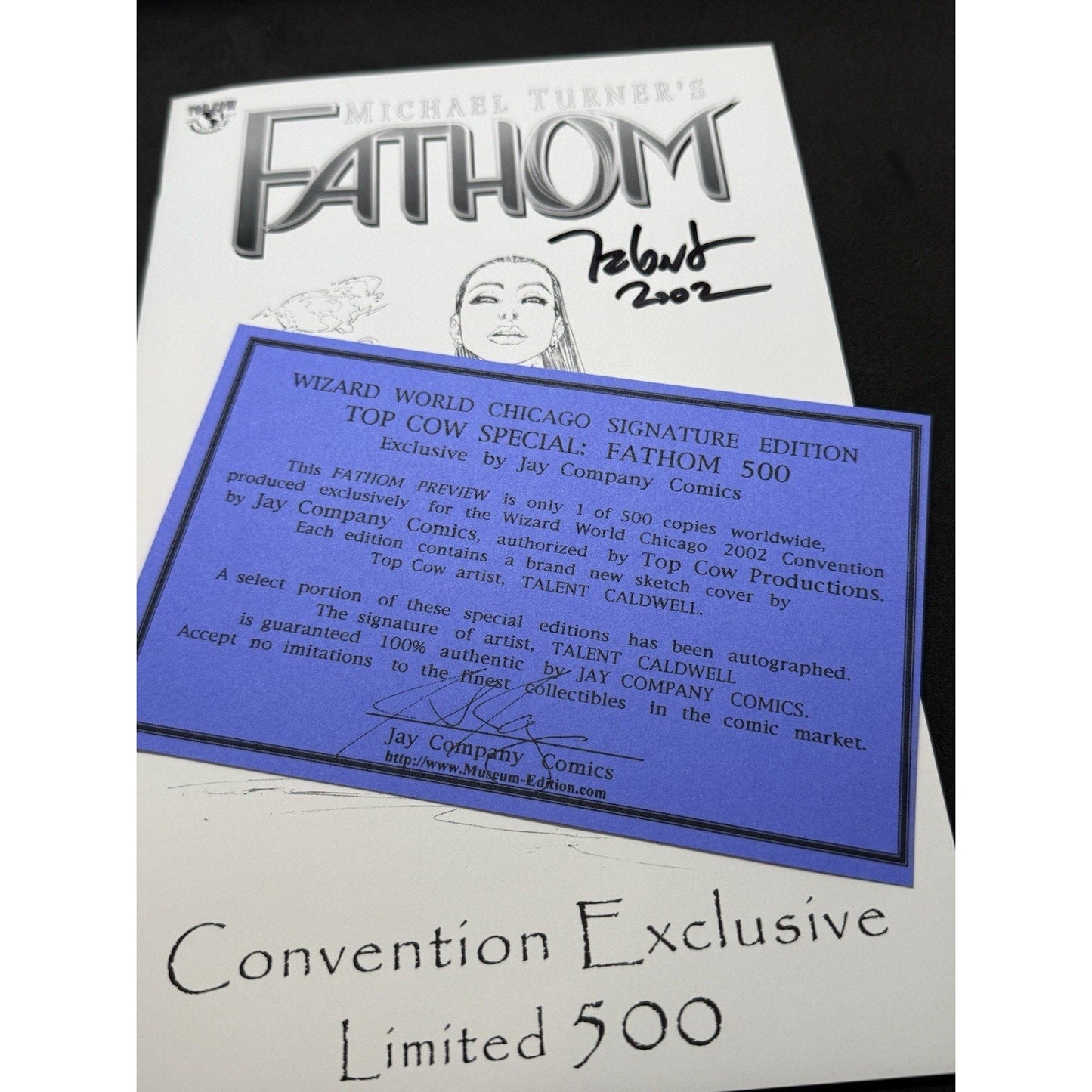 Fathom Convention Exclusive 1/500 Signed by Talent Caldwell 2002 Top Cow Jay Co - thriftgoblin