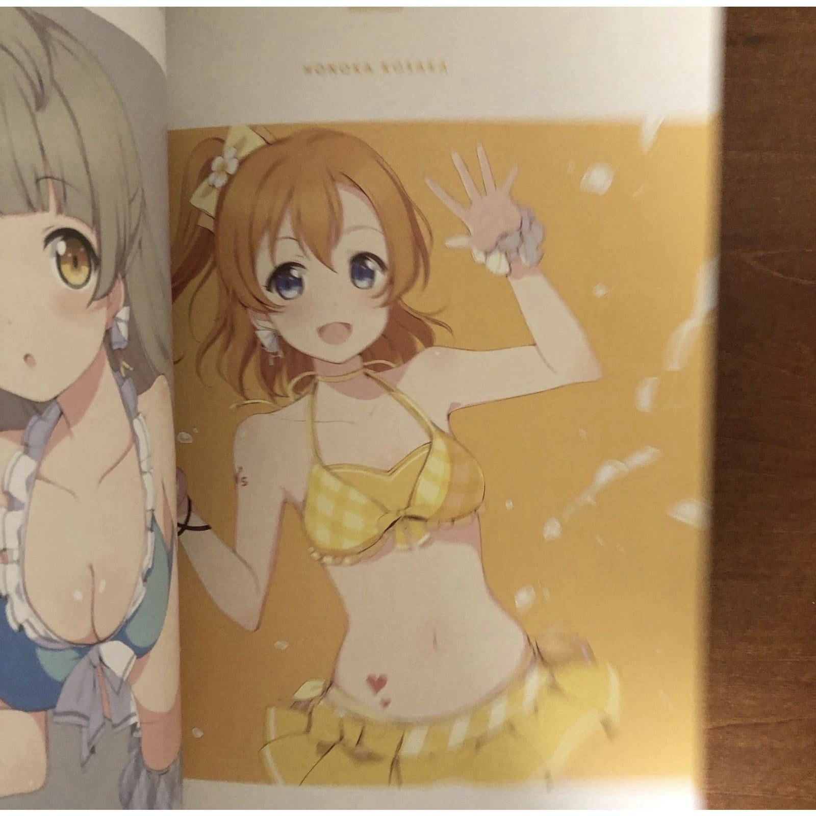 Favo! Colors Plus Eternal Land Love Live! Anime Art Book Illustration Japan - thriftgoblin